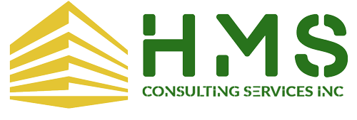 HMS Consulting Services Inc